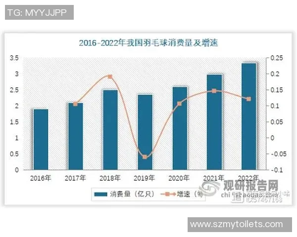 广州羽毛球队个人能力深度解析与训练秘籍分享