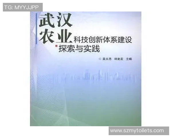 武汉乒乓球队的战术创新与转换体系研究解析