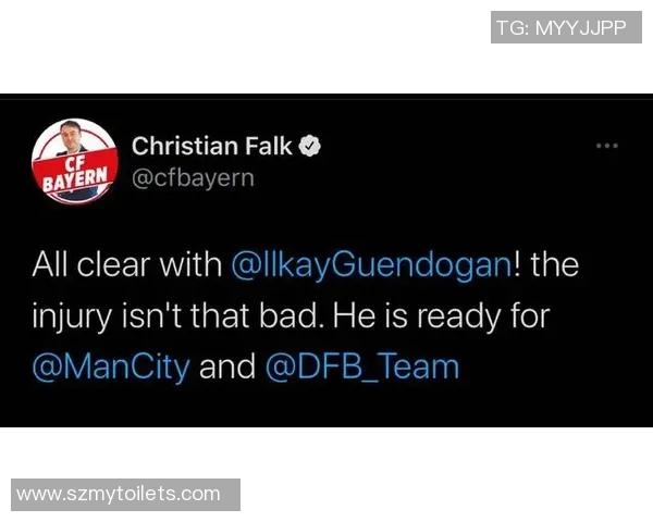 西安羽毛球队快攻战术解析及其在比赛中的应用与影响