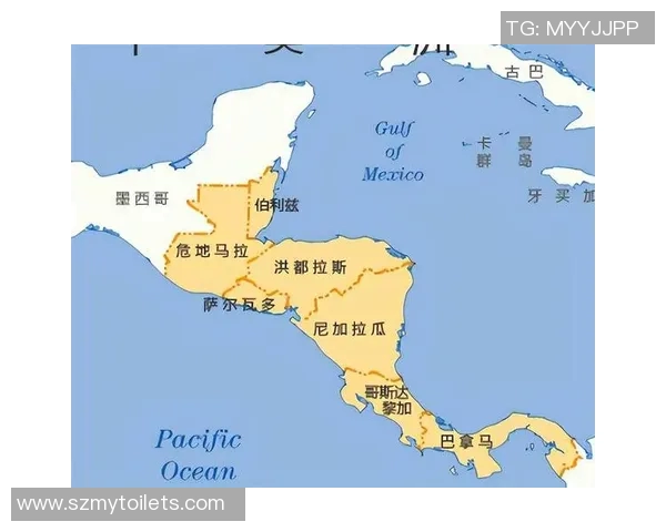 智力与洪都拉斯2018年对决回顾分析及其影响探讨