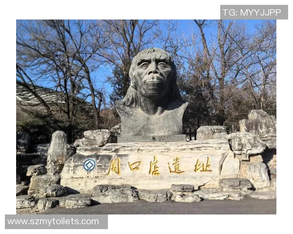 北京人和与北京北体大激战正酣谁能在这场较量中笑到最后